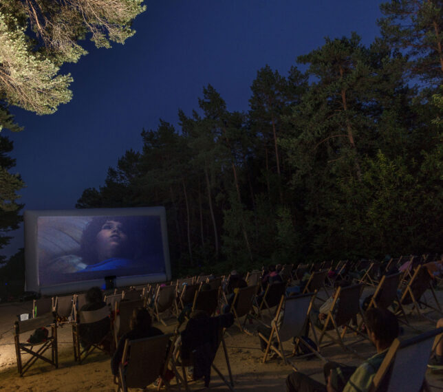 Le Seigneur des Anneaux, la communauté de l'anneau - Branche et Ciné